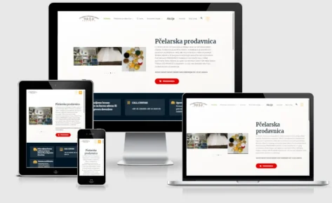 Internet prodavnica – SZR Nesa Valjevo
