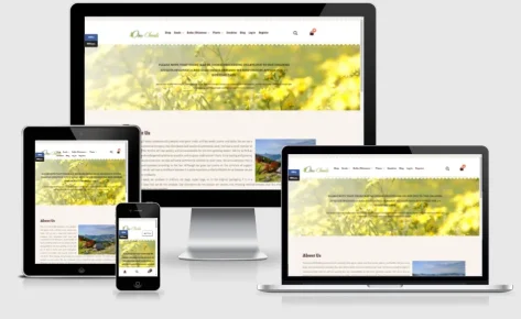 Internet Prodavnica – Oroseed